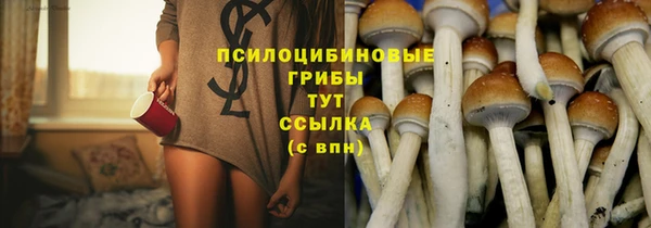 ешки Дмитров