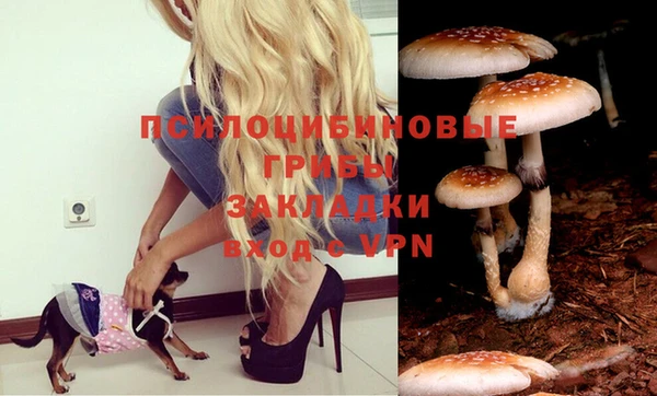 кокаин VHQ Дмитриев
