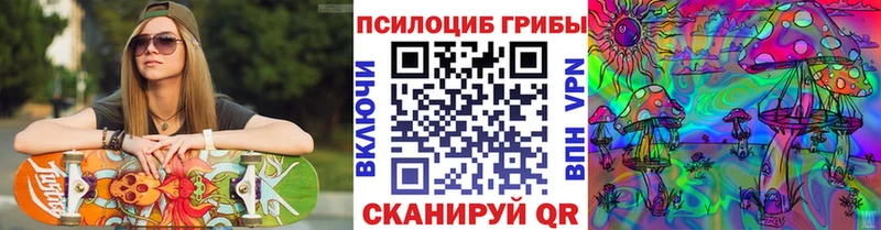 Галлюциногенные грибы Psilocybe  магазин    Светлый 